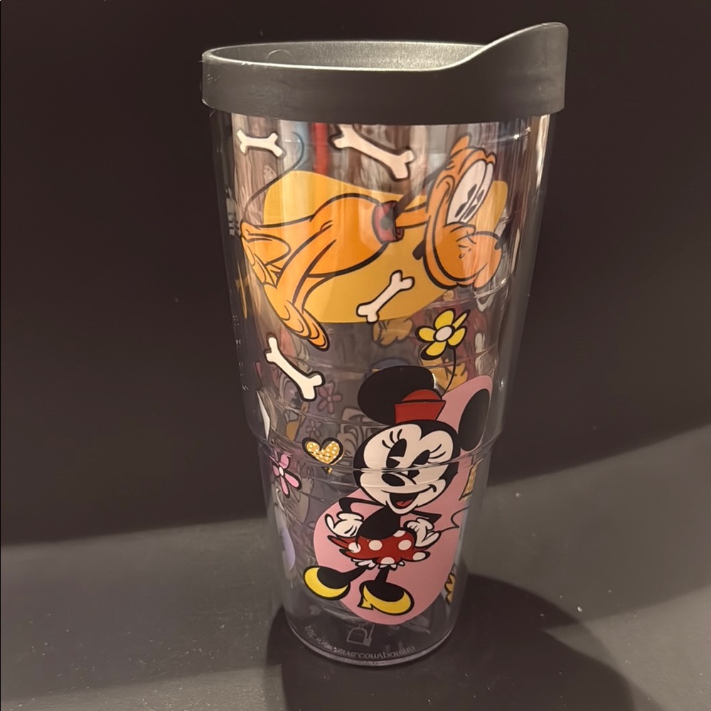 Tervis Disney Tumbler